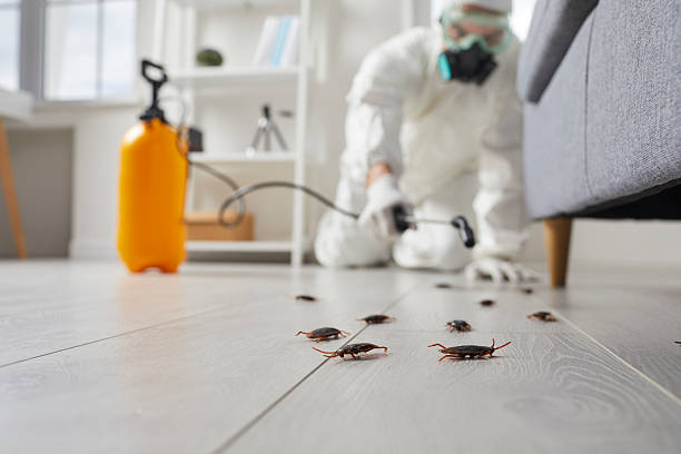 Trusted Rodent Control service in Chambersburg, PA - Nex Pest Control