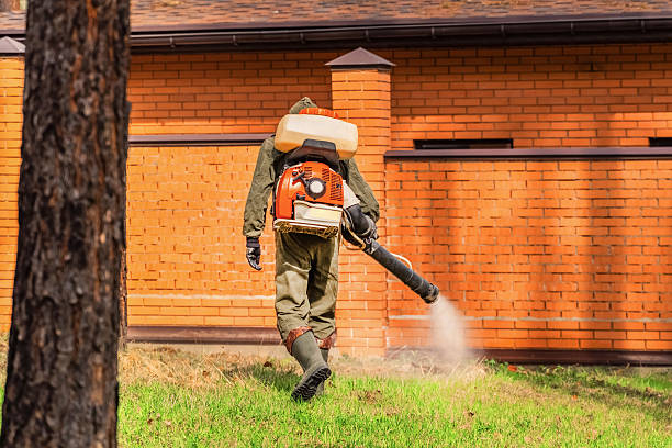 Trusted Ant Control service in Chambersburg, PA - Nex Pest Control